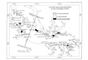 Oyster Map