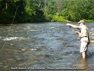 Fly fisherman casting into a fast running river